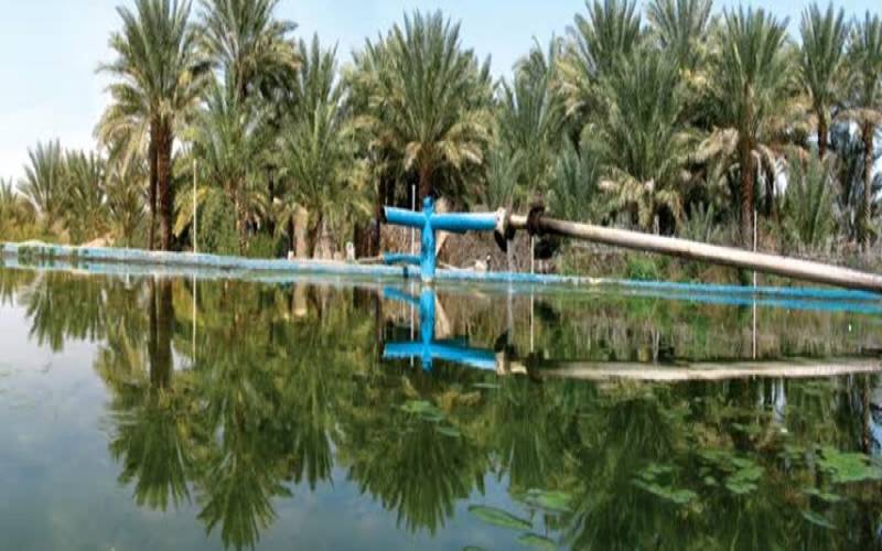 بهشت چهار فصل ایران شما را فرا می‌خواند؛ «خوش یهتین»